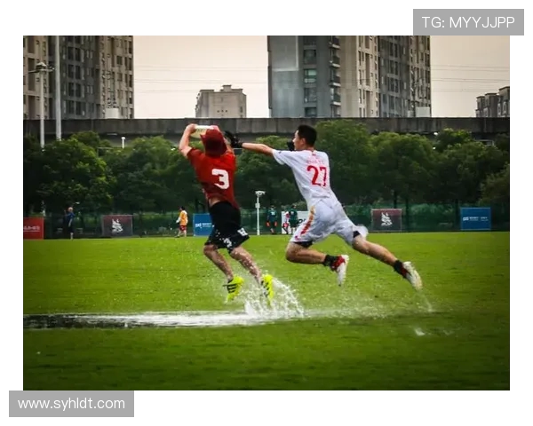 飞盘状态排行榜更新广州飞盘队强势攀升至第二名引发关注